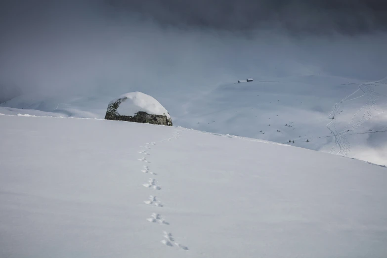 tracks of an animal in the snow next to a structure