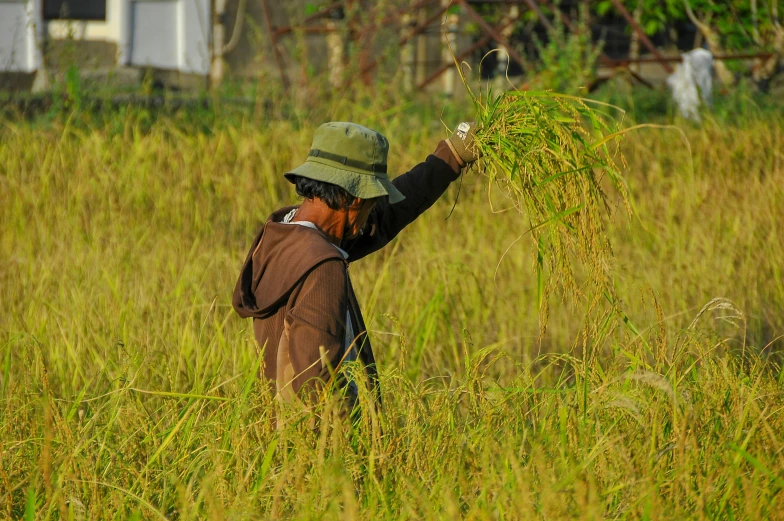 man in field with tall green grass examining bird