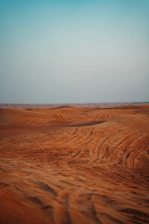 an empty desert with two animals walking through the distance