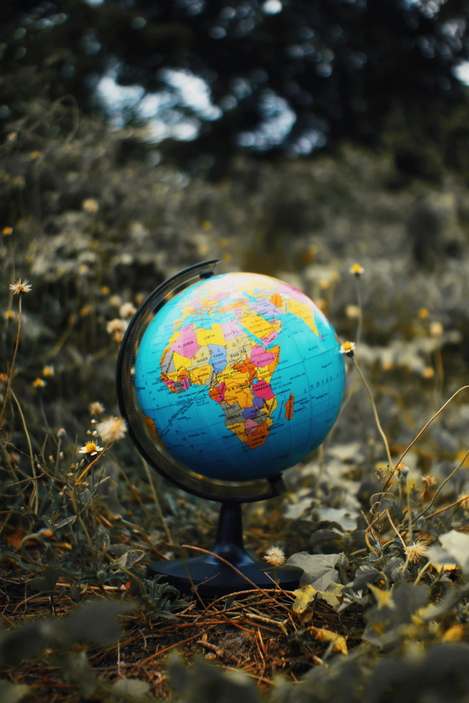 a globe sitting in the grass near some wild flowers