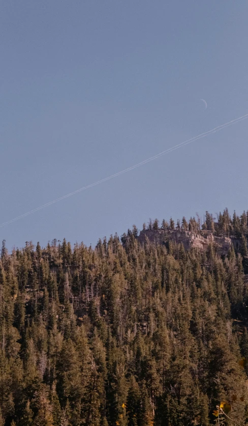 a single plane flies in the air over trees