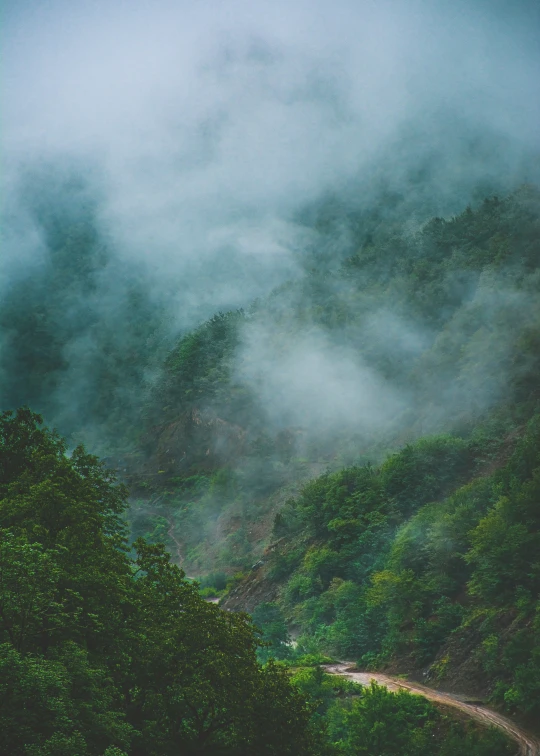 a road that is surrounded by a dense forest