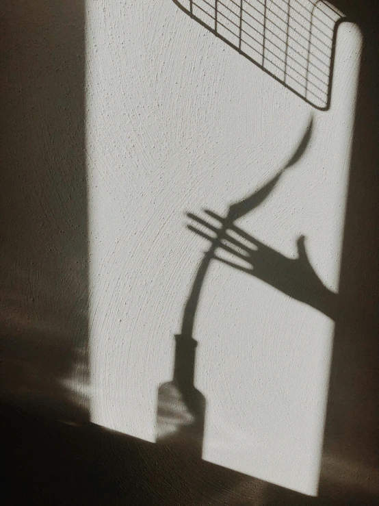 a shadow of a hand reaching for the side of a wall