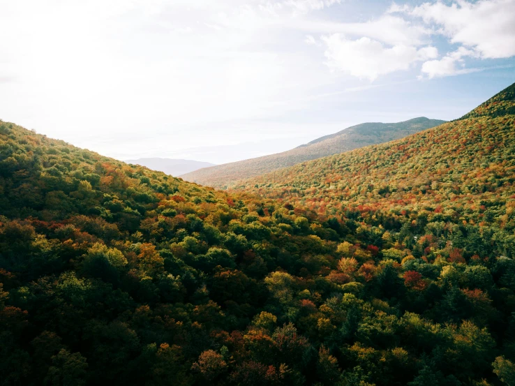 a beautiful mountain scene with autumn colored trees