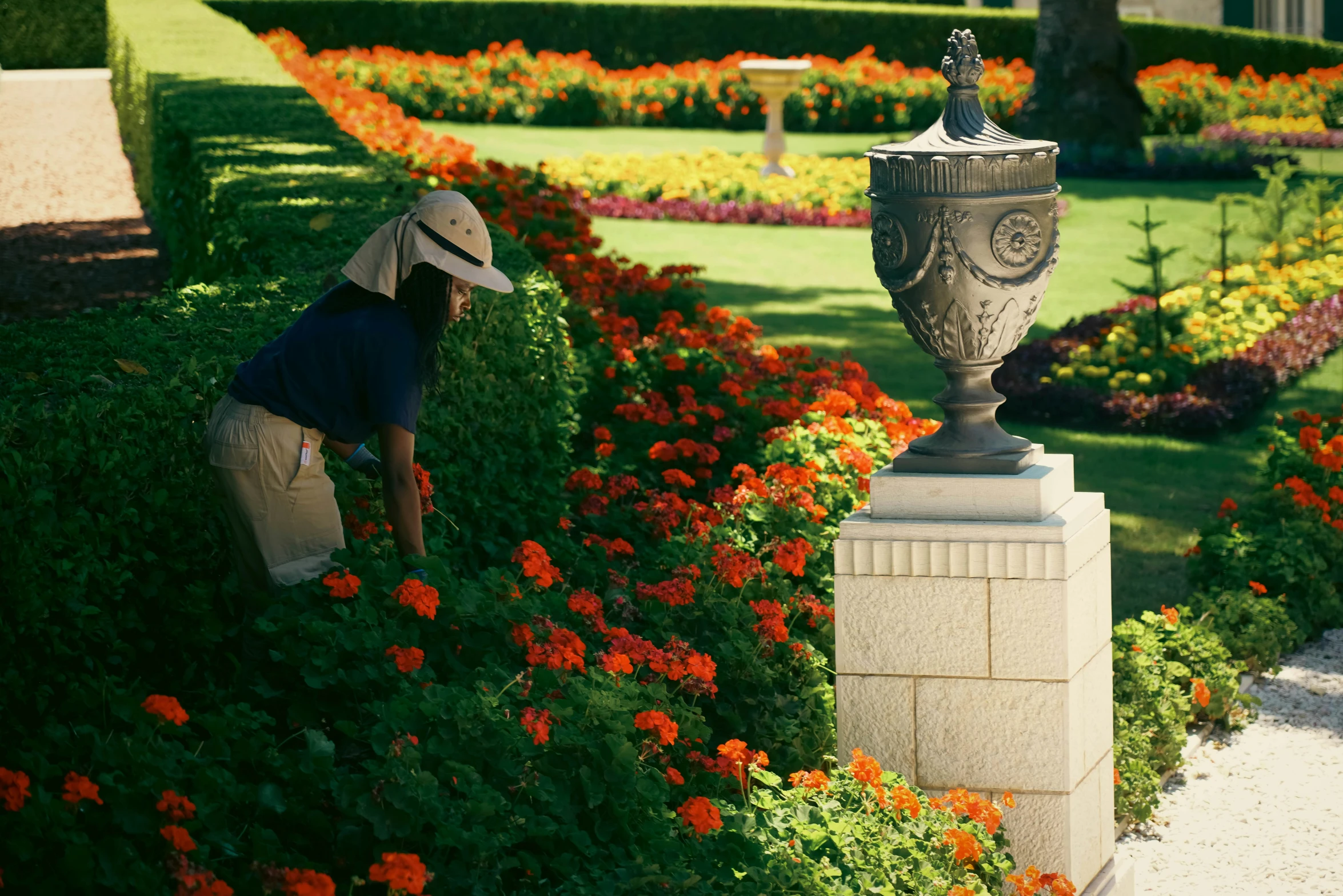 a woman is looking at a flower garden