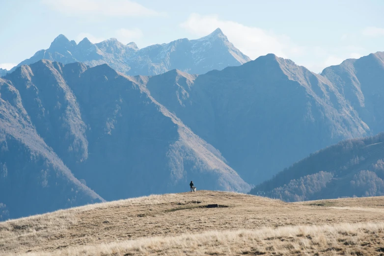 a lone animal standing on top of a grass covered field