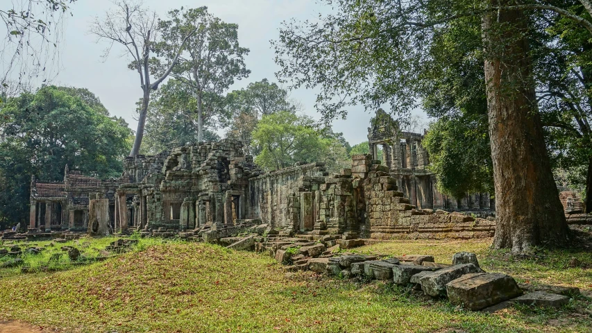 the ruins of a palace sit among trees