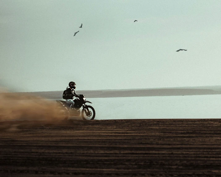the motorcyclist is making a dirt track in front of birds flying around