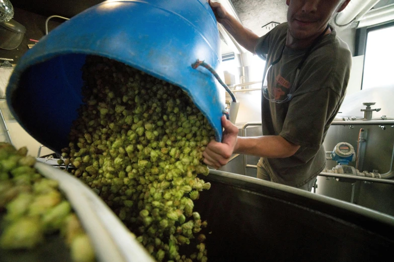 two workers with large pieces of green leaves