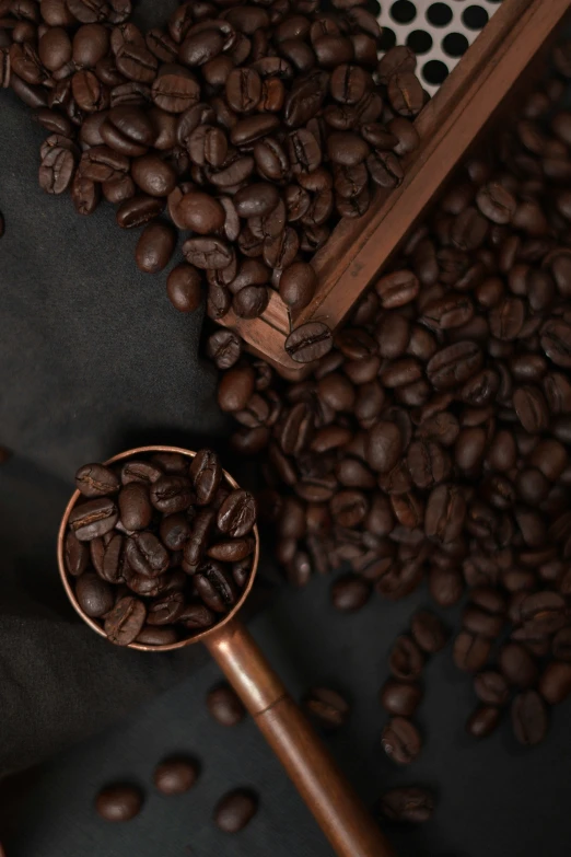 some coffee beans and a spoon on the ground