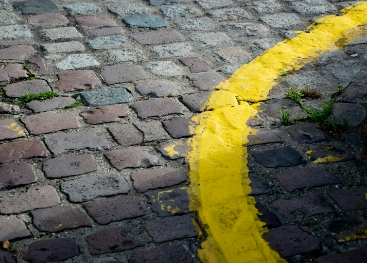 yellow painted line on bricked walkway near grass