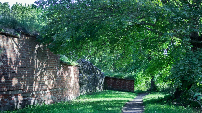 an old brick path leads through a shady area