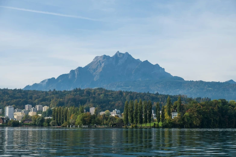 there is a mountain with lots of trees in it