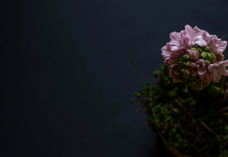 a very small pot of flowers with green leaves