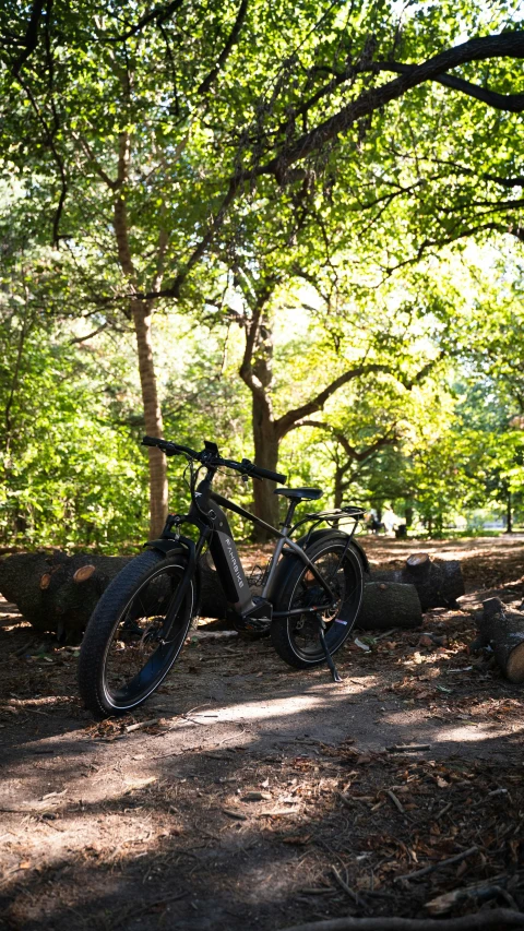 an abandoned bicycle sits in the middle of the forest