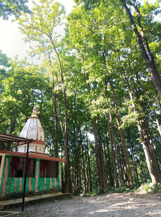a gazebo in the middle of a forest near trees