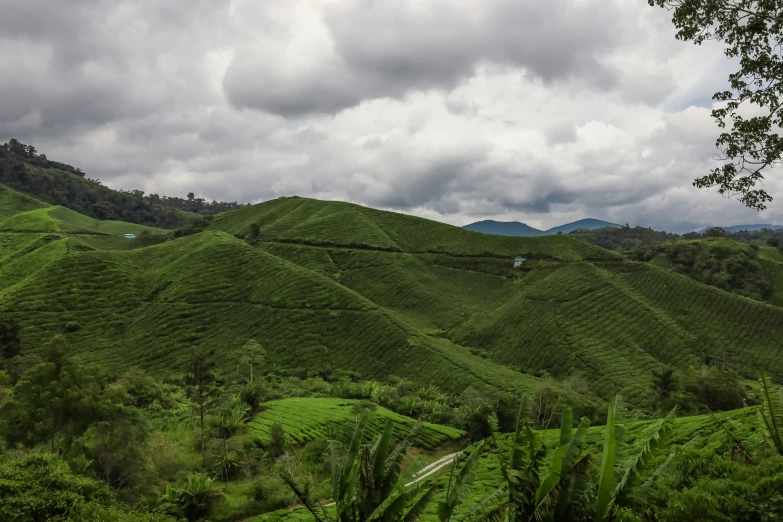 a field filled with lush green hills under cloudy skies