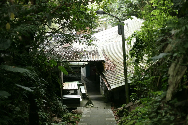 a house surrounded by green trees on the side of a sidewalk