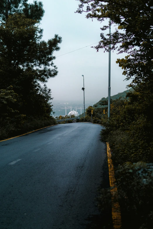 an empty street that has stop signs by the trees