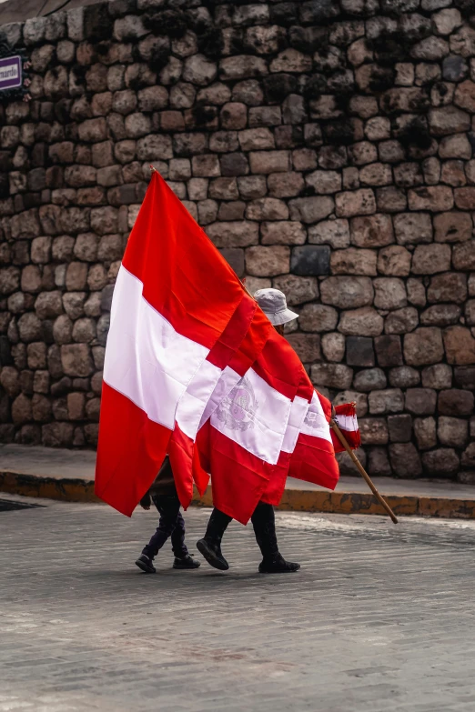 people are carrying flags on the street