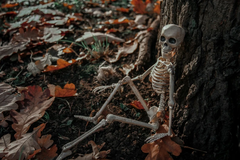 a skeleton sits on the ground between a tree and some leaves