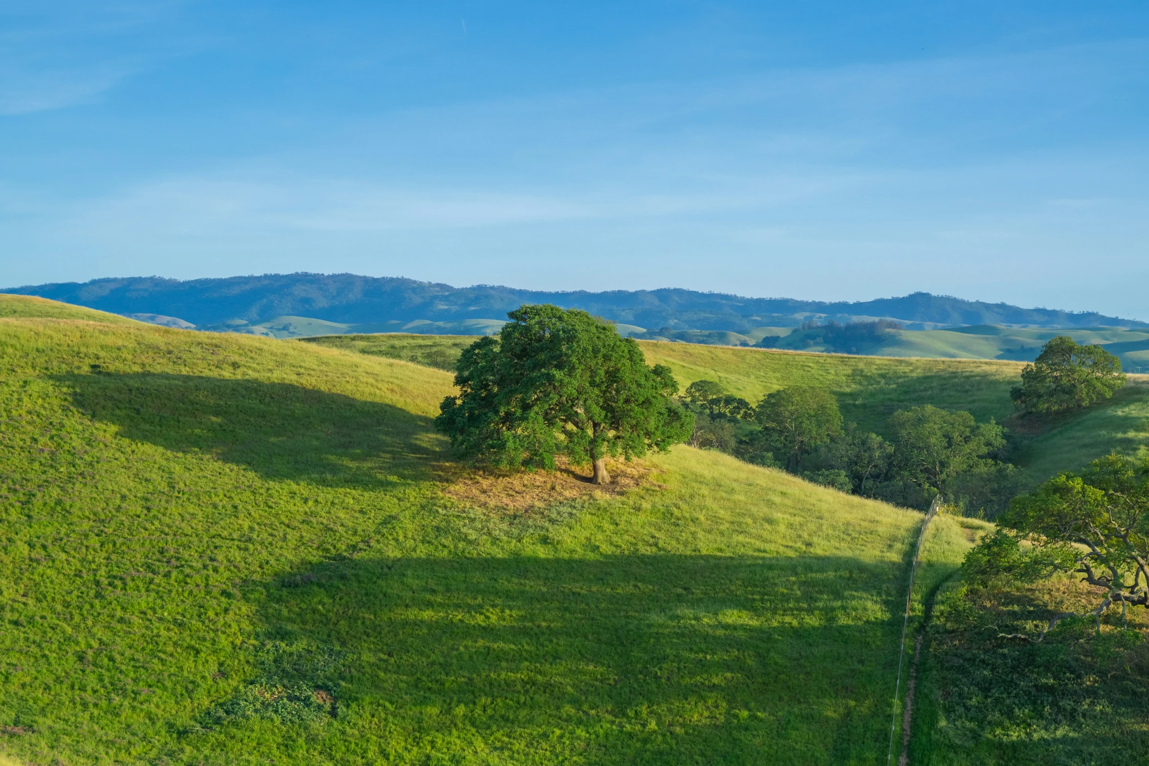 a view of trees and hills in the distance