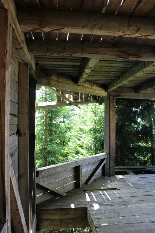 a covered deck near some trees in the forest