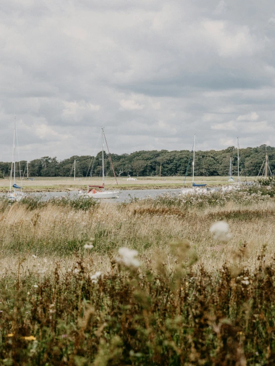 a field with many wind turbines in the distance