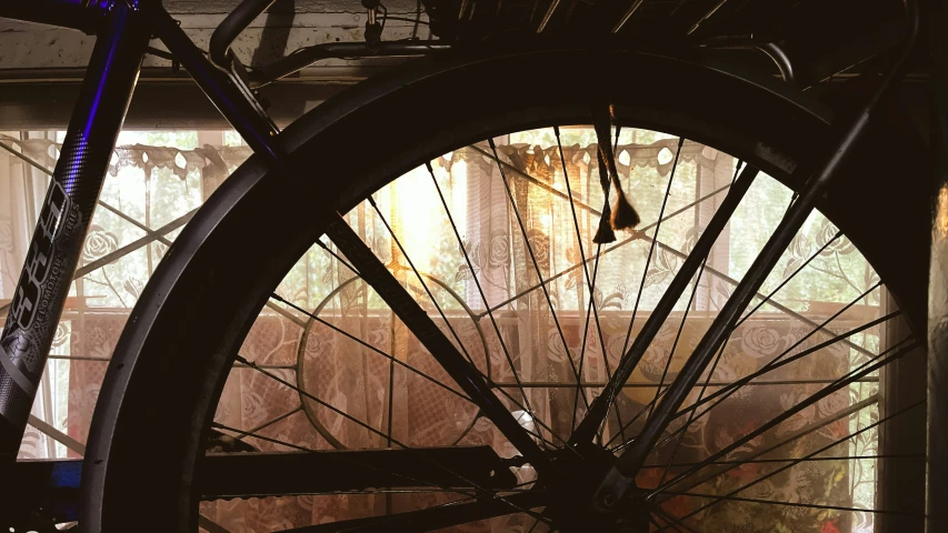 two bicycle wheels sit in front of some windows