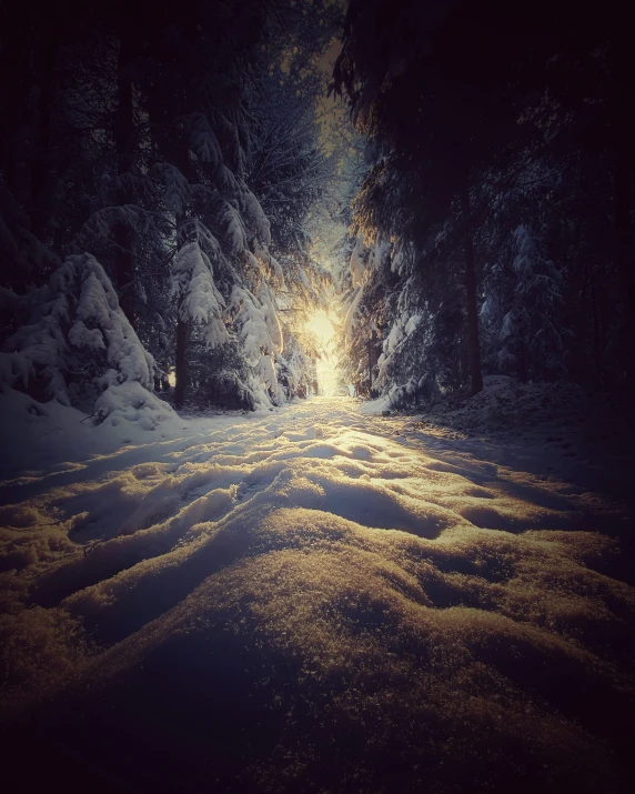 bright sunlit path with snow on the ground