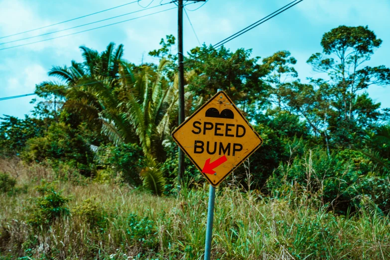 an image of a speed bump road sign