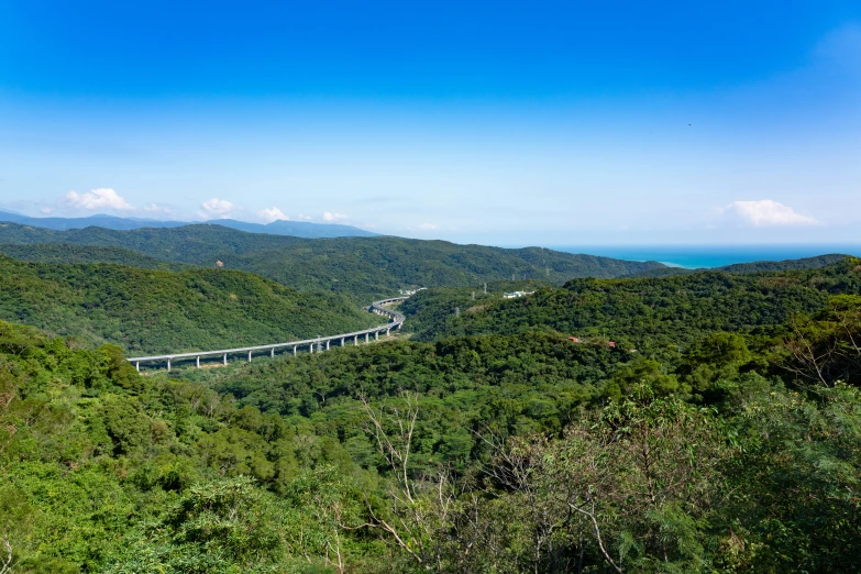 scenic road stretches over lush greenery to the distant valley