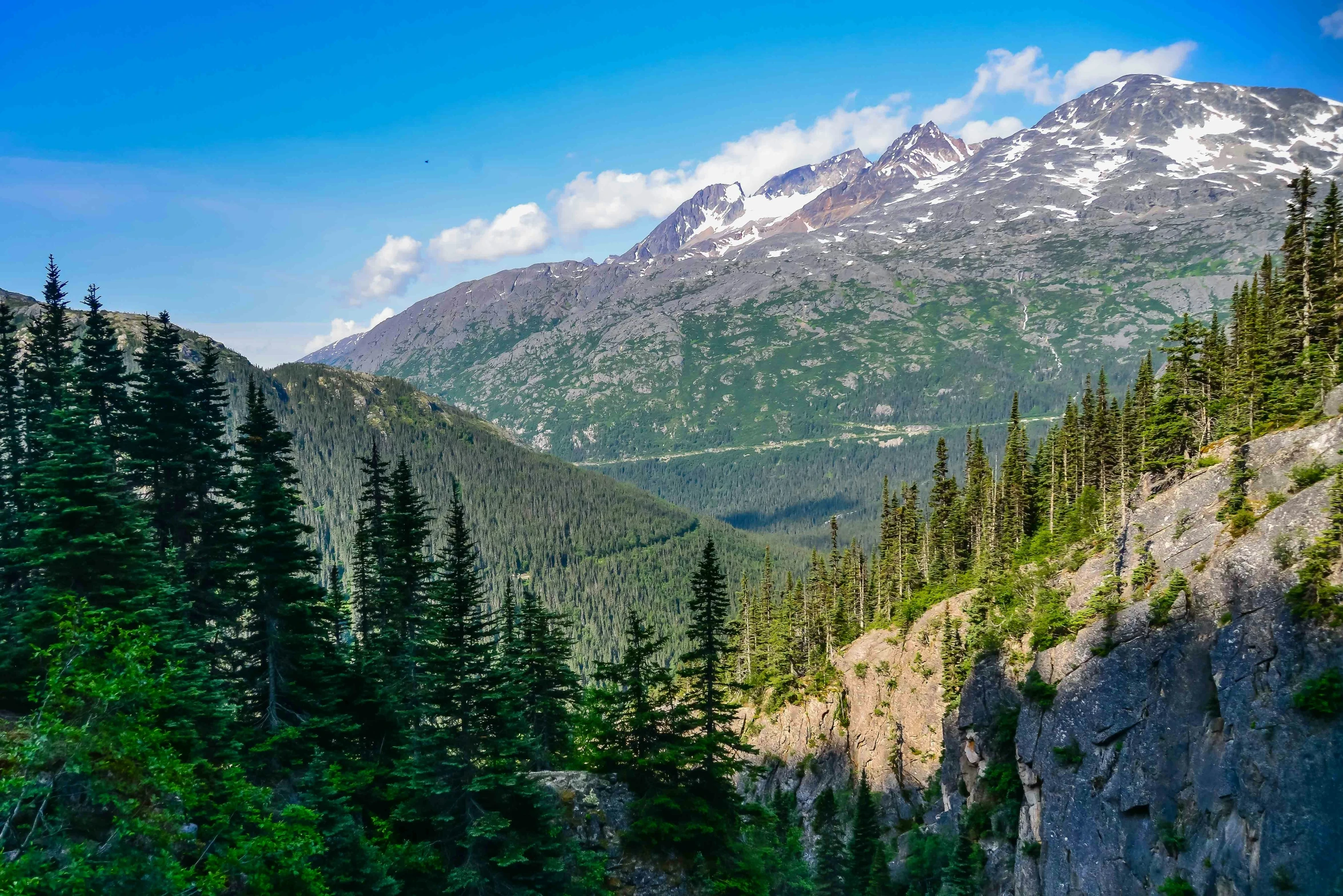 trees are line the edge of a steep cliff