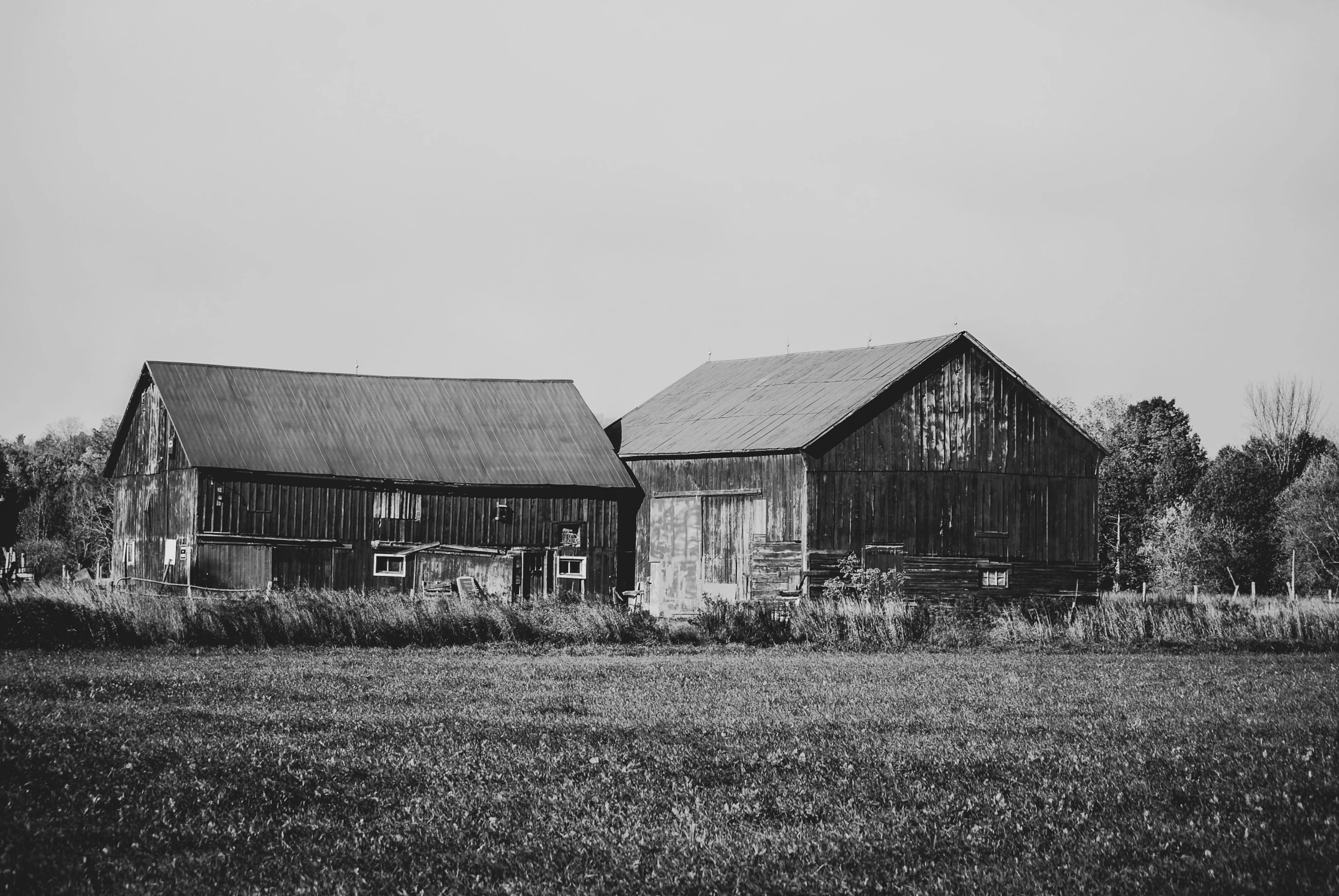 black and white pograph of two old barn buildings