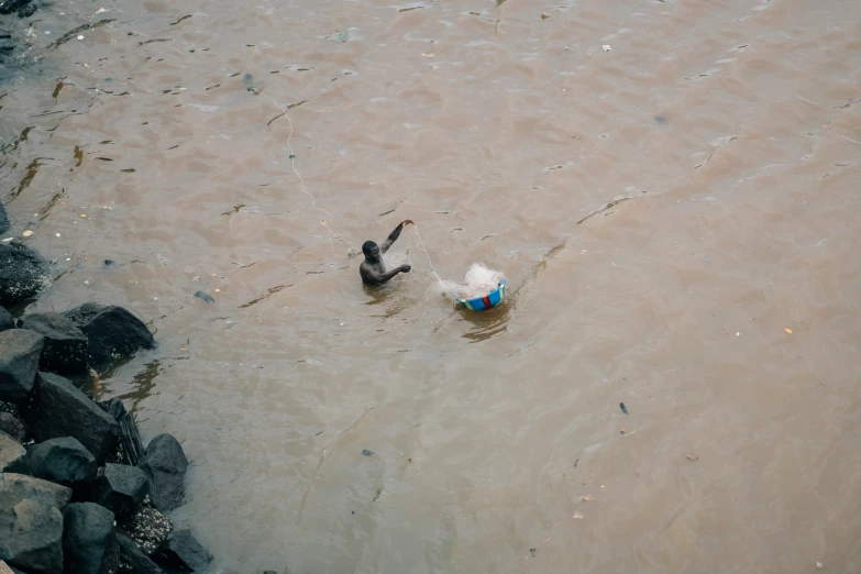 two dogs are playing in the water near some rocks