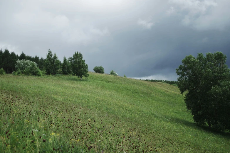 a hill covered in lots of green grass under a cloudy sky