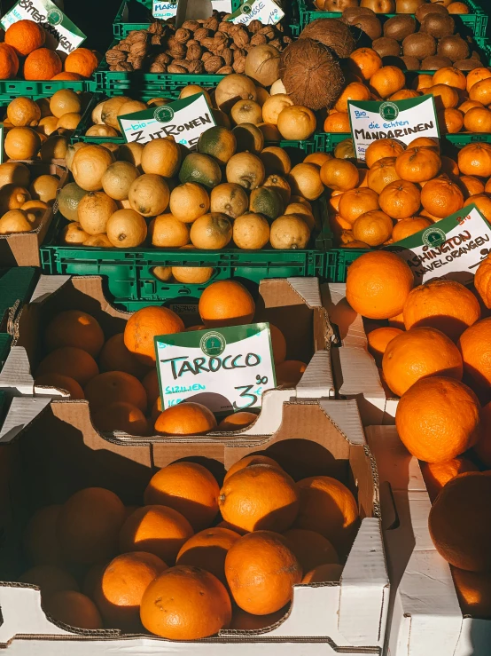 many boxes filled with oranges and other fruit