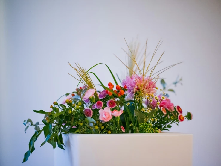 several different kinds of flowers in a white square vase