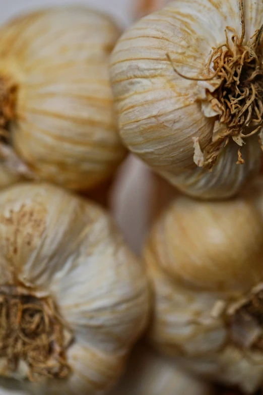 several large onions on a stalk with one big ear