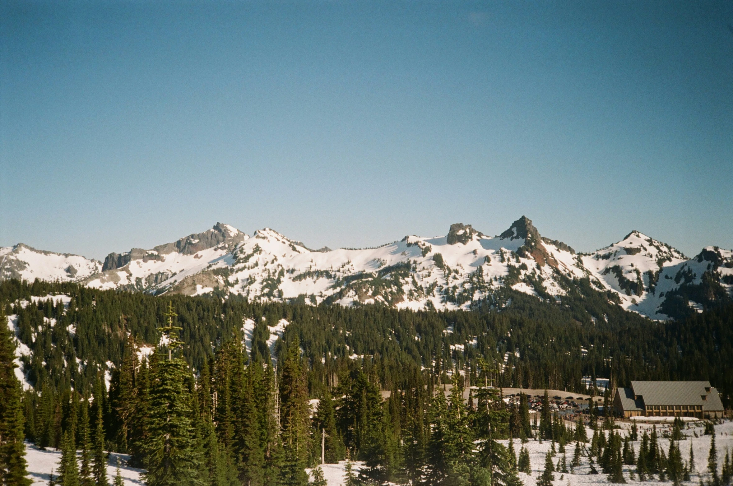 this is an alpine area in the mountains with trees