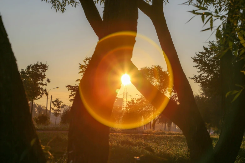 the sun is shining through the trees that are not