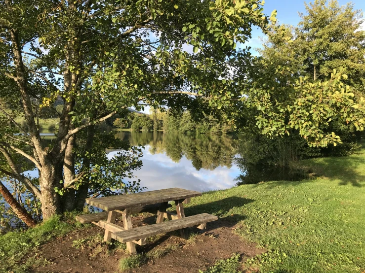 a bench sits next to a lake surrounded by green trees