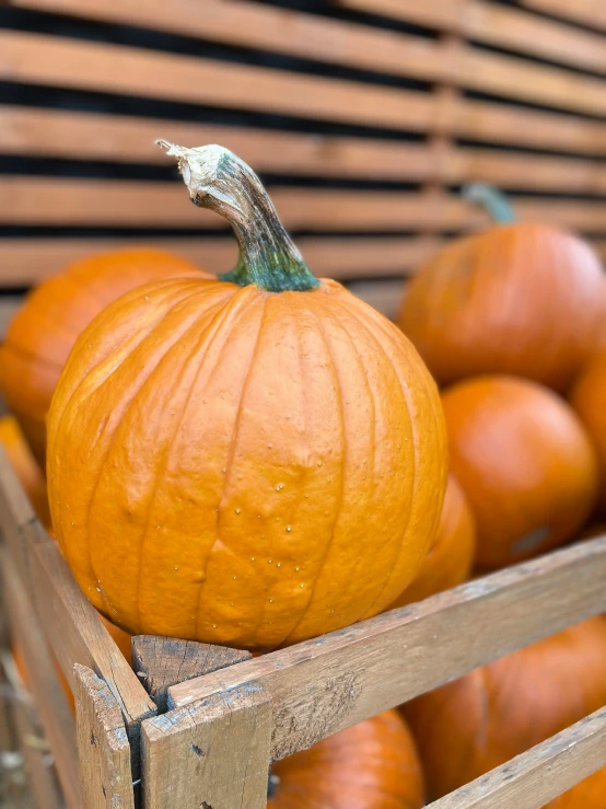 a group of pumpkins sitting inside of wooden boxes