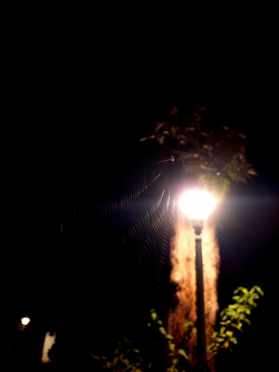 a street lamp lit up in the dark at night