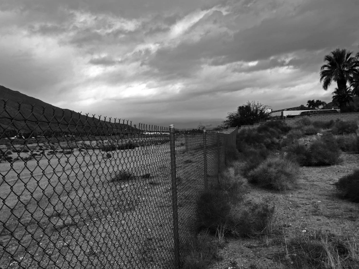 a long fence that has grass and plants by it