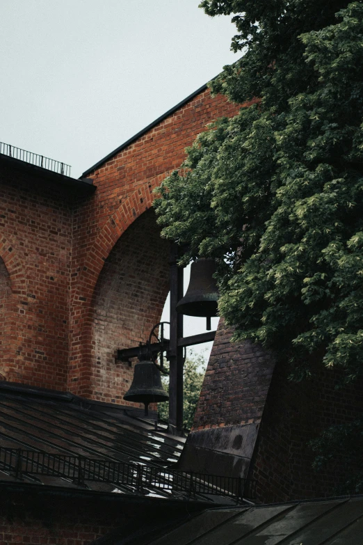 a tree is growing next to some old brick arches