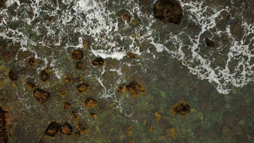 an aerial view of brown algae and white water