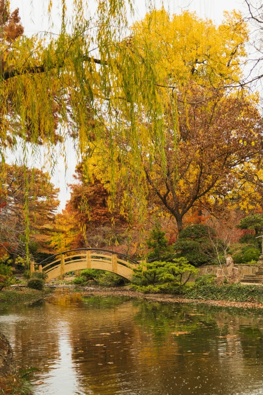 a pond with trees surrounding and a small bridge