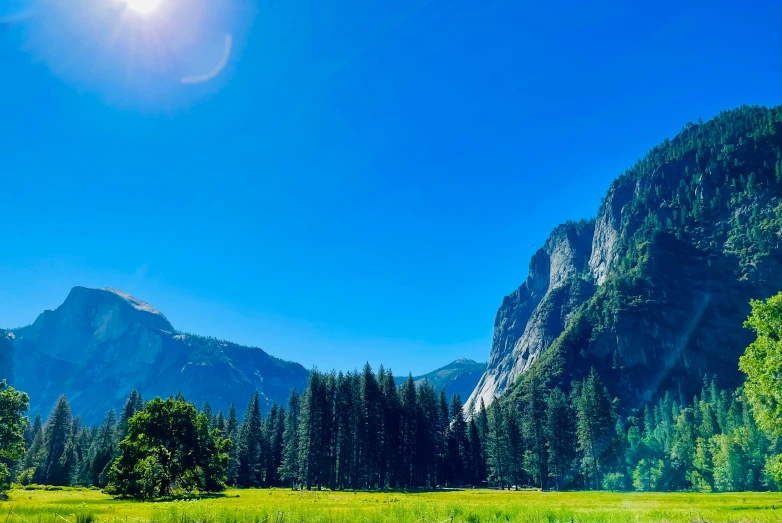 an open field with trees and grass in front of a mountain range