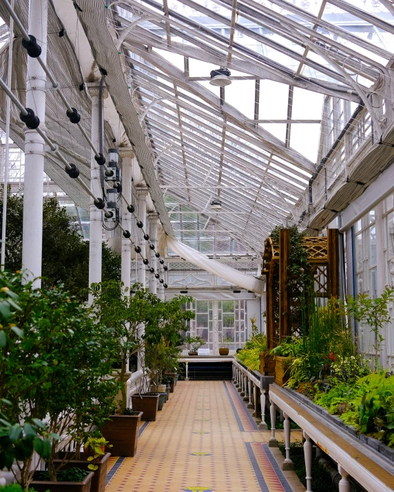 the inside of an outdoor greenhouse with various plants